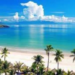 Meet your Posher, Tammi